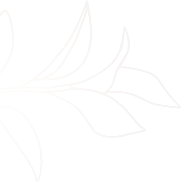 Beste Grabsteinpreise und Grabmodelle